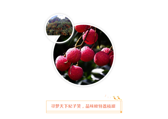 1623371406905591.png image.png