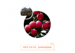 做歐必特的客戶，我們寵你