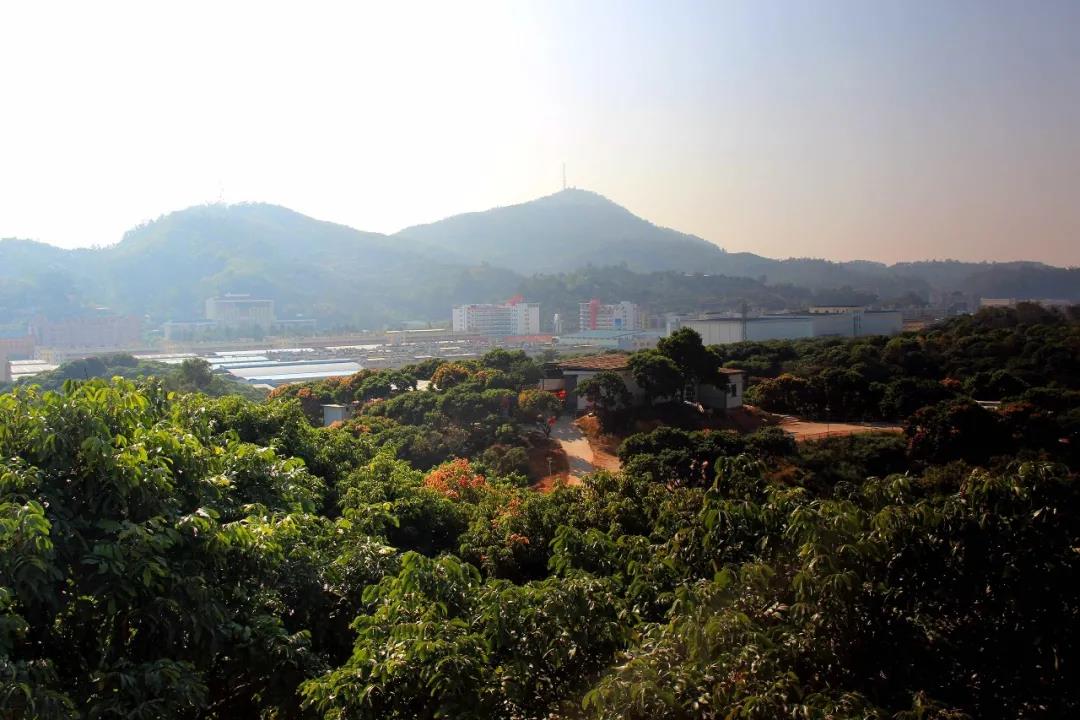 1611380718557864.jpg 02.jpg