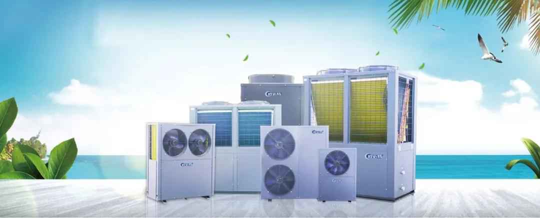 1558924819572626.jpg 3.jpg