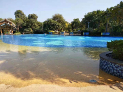 這個夏天，我在泳池等你