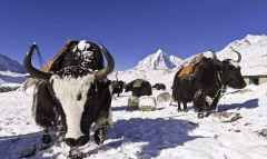 空氣能在高寒地區(qū)不好用？歐必特用實力告訴你