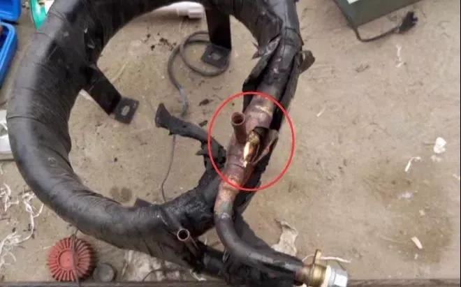 1604107872246013.jpg 2.jpg