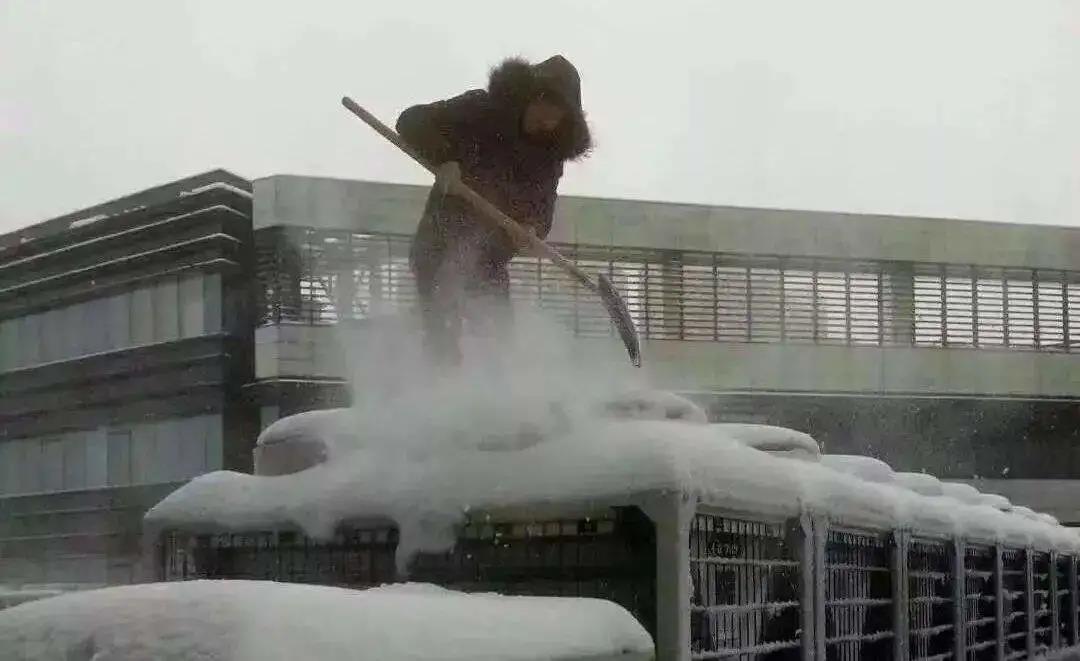 1604108801761232.jpg 13.jpg