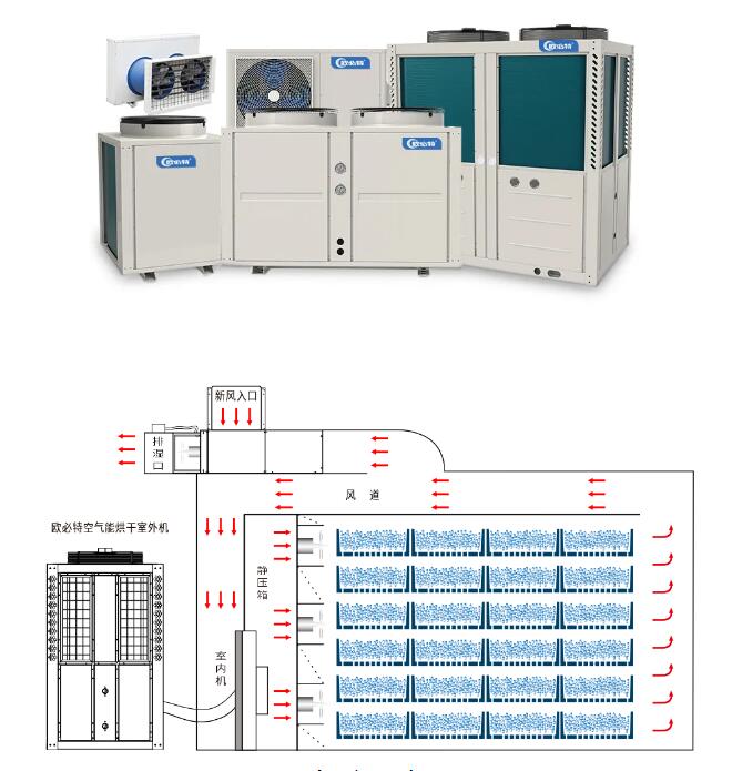 1628740914981259.jpg 5.jpg