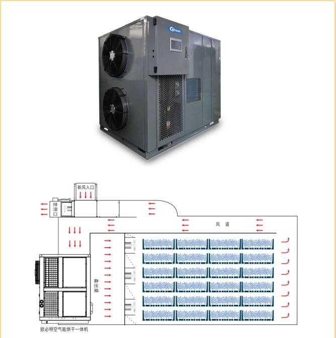 1628746922775379.jpg 7.jpg