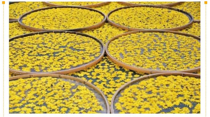 1632532595825887.jpg 2.jpg