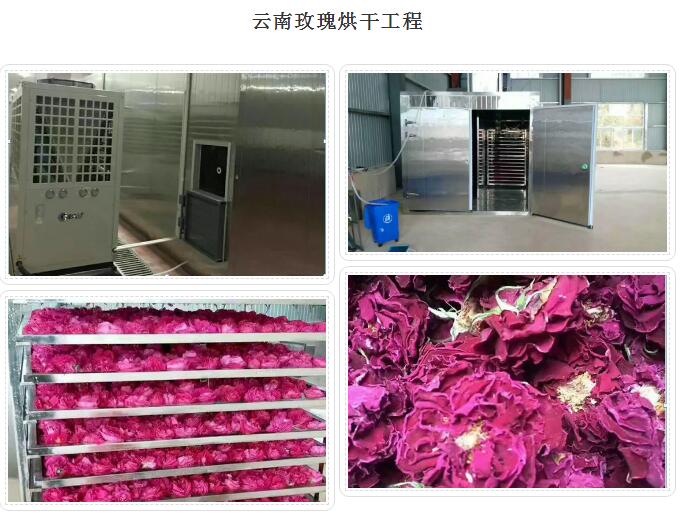 1632532987427226.jpg 8.jpg