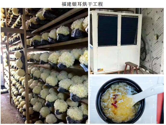 1632533181975918.jpg 10.jpg