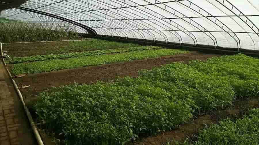 1656746386328465.jpg 060954251dto.jpg