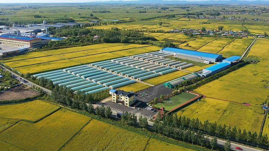 1684486096835417.jpg 5896625aeed73c1351540fd5e57434bff5d50c0a1b7f9-lA2n9C_fw1200.jpg