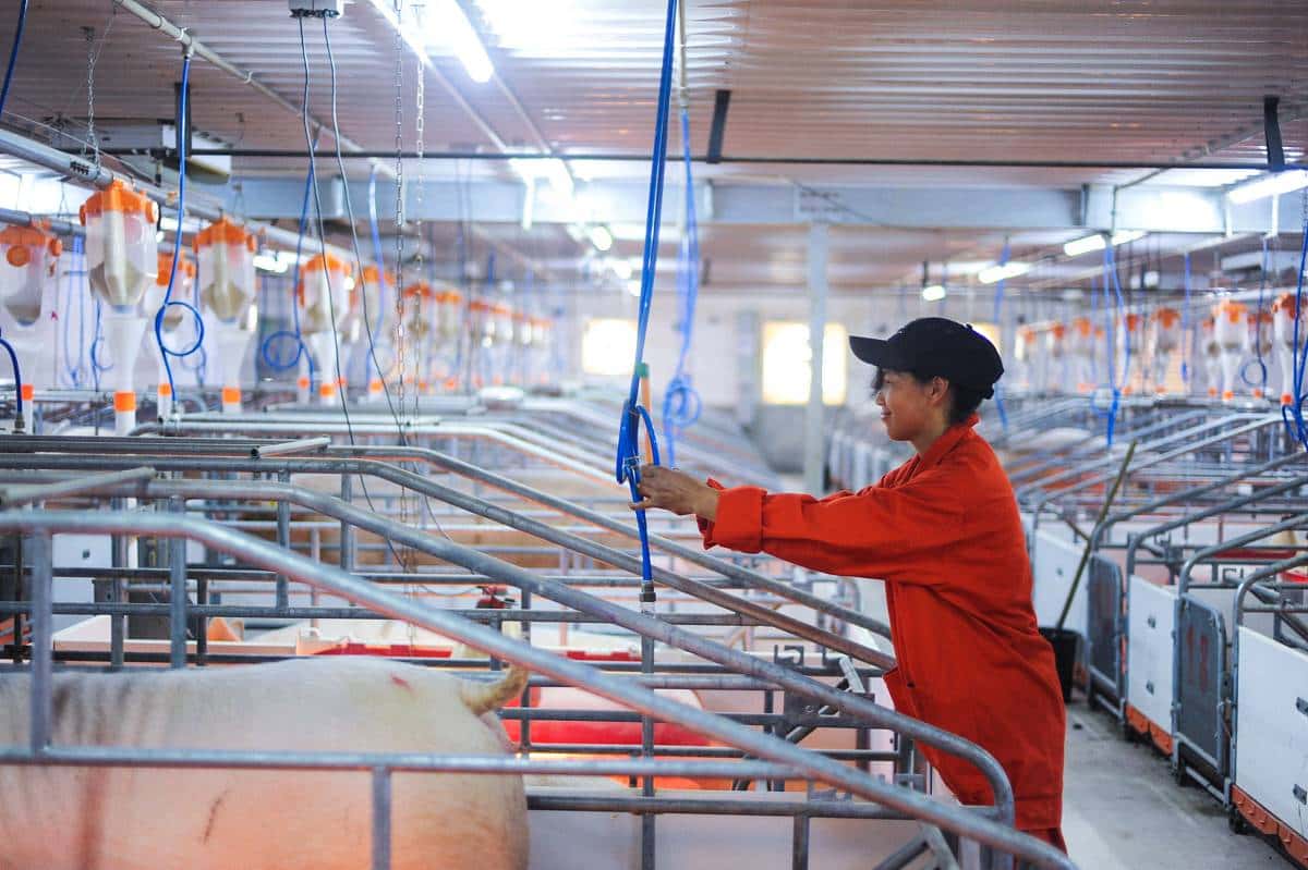 1684486613221030.jpg 44b71aa2953bbea846f235a0daff2dc19b612039ad97a-3Vsq7T_fw1200.jpg