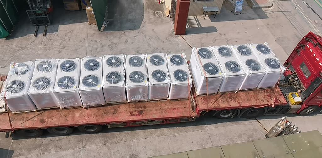 1685084382226772.jpg 5.jpg