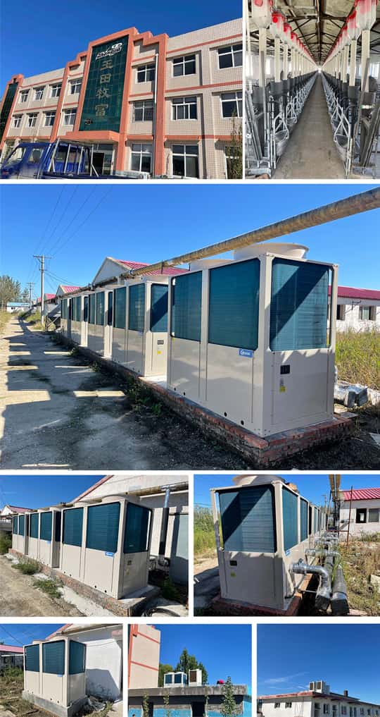 1700900044544185.jpg 5.jpg