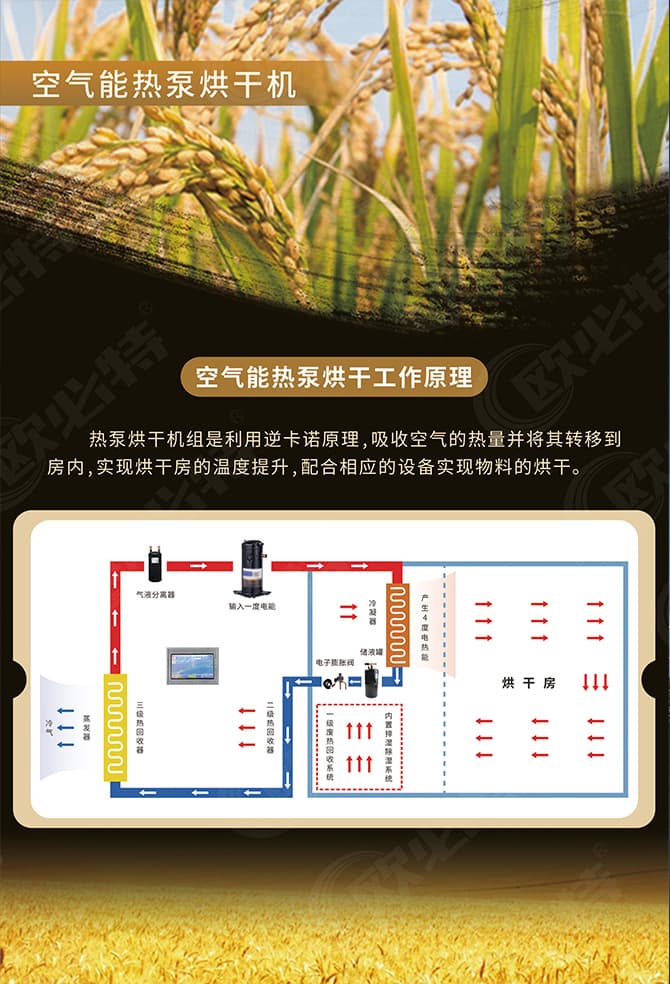 1702631941763499.jpg 烘干機(jī)折頁2.jpg