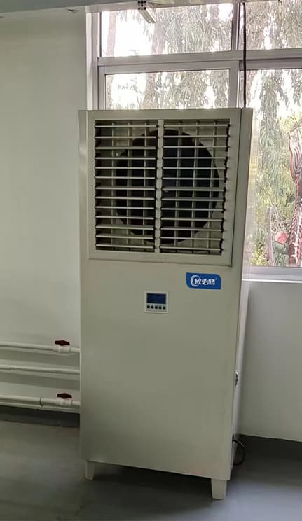 1717208943401259.jpg 4.jpg